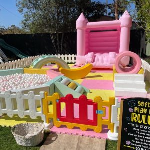 HOME s&s4 with pink